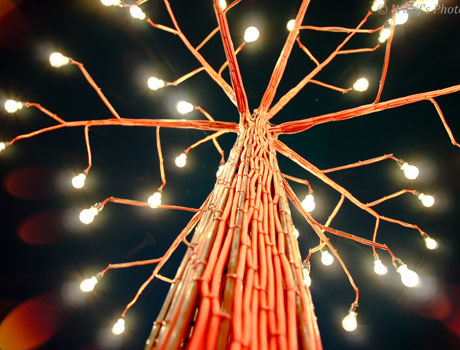 Energie renouvelée ?