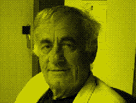 « Pas de référendum »