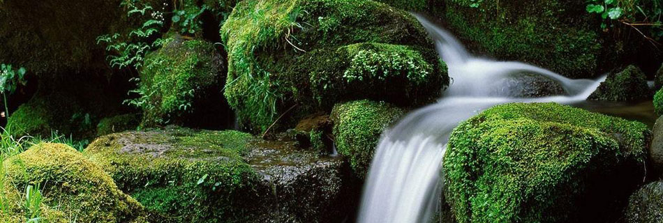 Des réfugiés tunisiens occupent un ancien immeuble du RCD à Paris