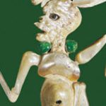 Les Mayas au Quai Branly : sous le « patrimoine », le capitalisme sauvage.