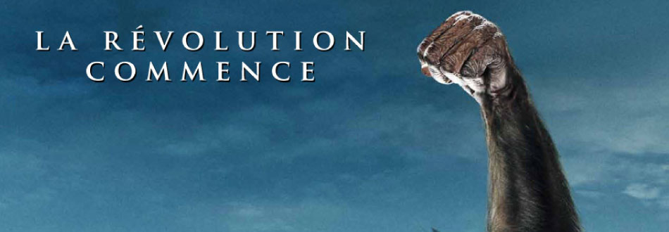 Emeutes: sous les pavés, les singes