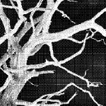 Sauvez un arbre radiez un chômeur