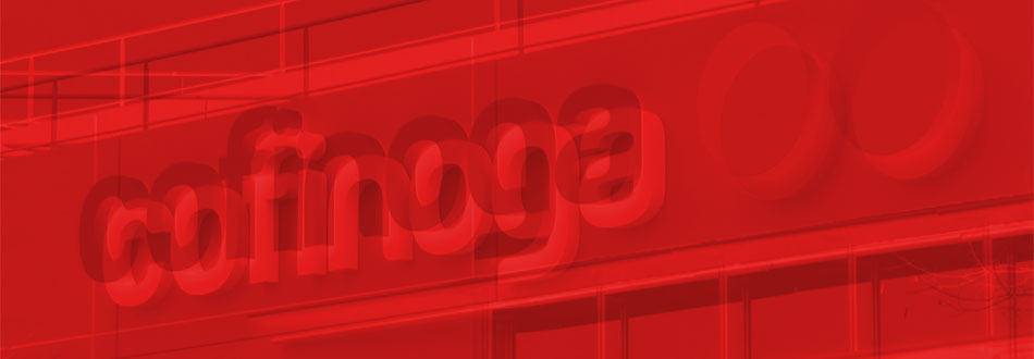 Crédit revolving, Cofinogogo