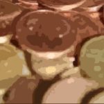 Microcrédit, la grande mutation