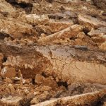 Terres africaines, la grande braderie