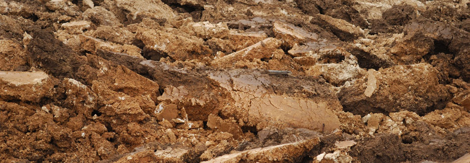 Terres africaines, la grande braderie