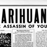 Drogues : les alternatives à la prohibition