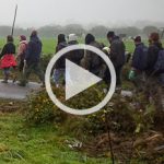 Notre-Dame-des-Landes, les irréductibles reprennent leurs terres