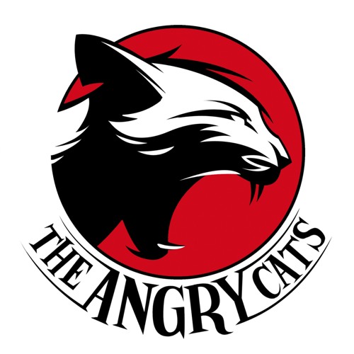 « The Angry Cats », neo-rockabilly from Paris