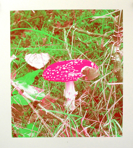 Sous influences, arts plastiques et psychotropes à la maison rouge