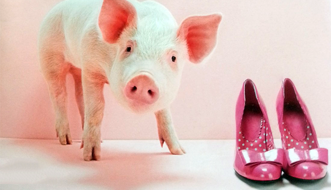 Nous sommes toutes des laiderons