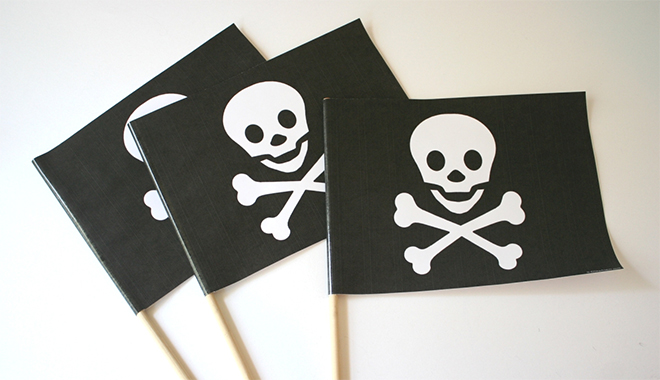 Amaëlle Guiton : « Le Parti pirate islandais a mordu sur l&rsquo;électorat de gauche  »