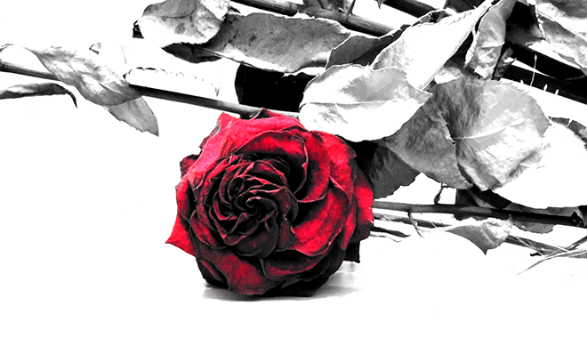 Internationale socialiste, la dernière estocade, par Jean-Luc Mélenchon