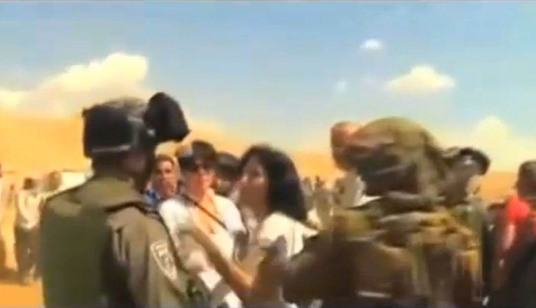 L&rsquo;impuni et ses amis