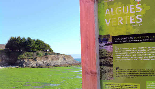 Décret cochons : « Chaque département breton rejette autant d’ammoniaque qu’une région française »