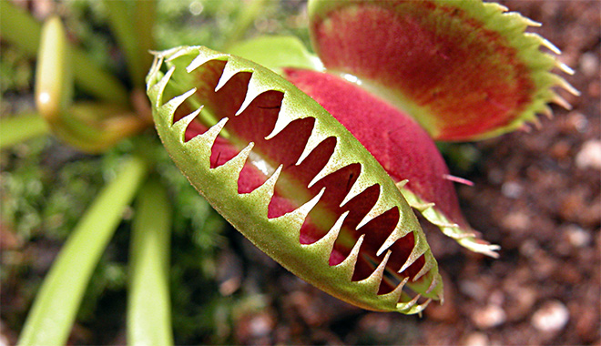 Des Verts moins tendres avec le gouvernement