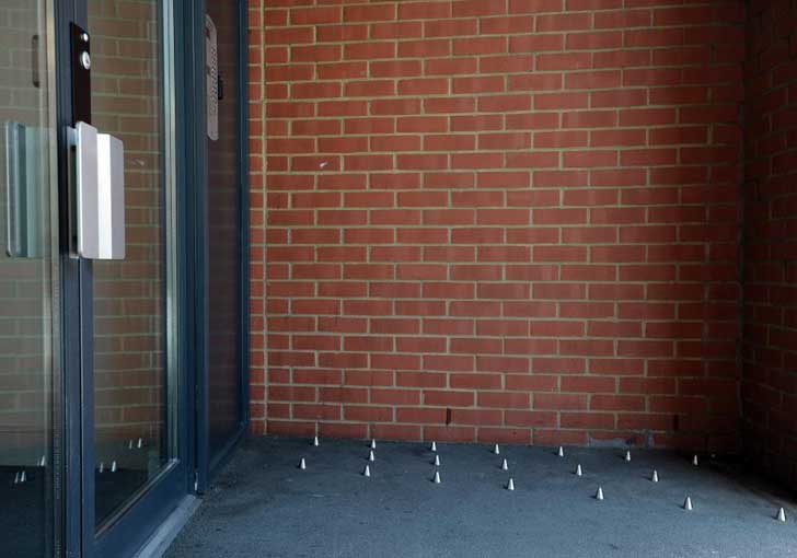 Mathieu Lindon : « Le SDF est celui qui se heurte autant à l&rsquo;ordre établi qu&rsquo;au désordre établi »