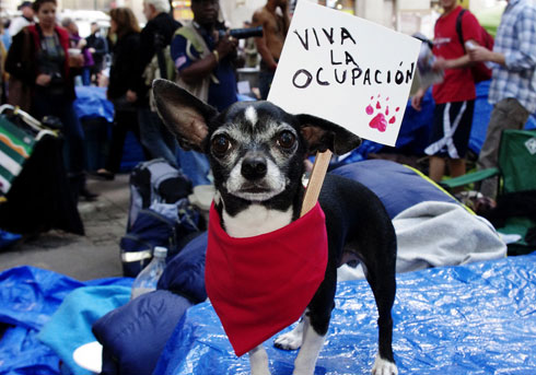Andrew Boyd : « Transformer des luttes nécessaires en joyeux bordel »