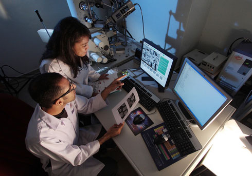 Coupes budgétaires dans la recherche : huit grands chercheurs dénoncent « un suicide scientifique et industriel »