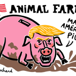sochard-trumpig.png