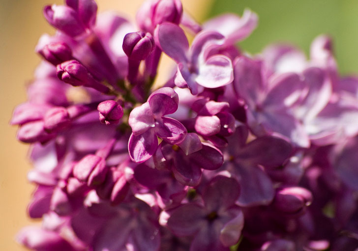 Libres d’inventer les autres solutions