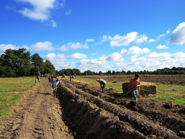 Notre-Dame-des-Landes : une zone encore à défendre