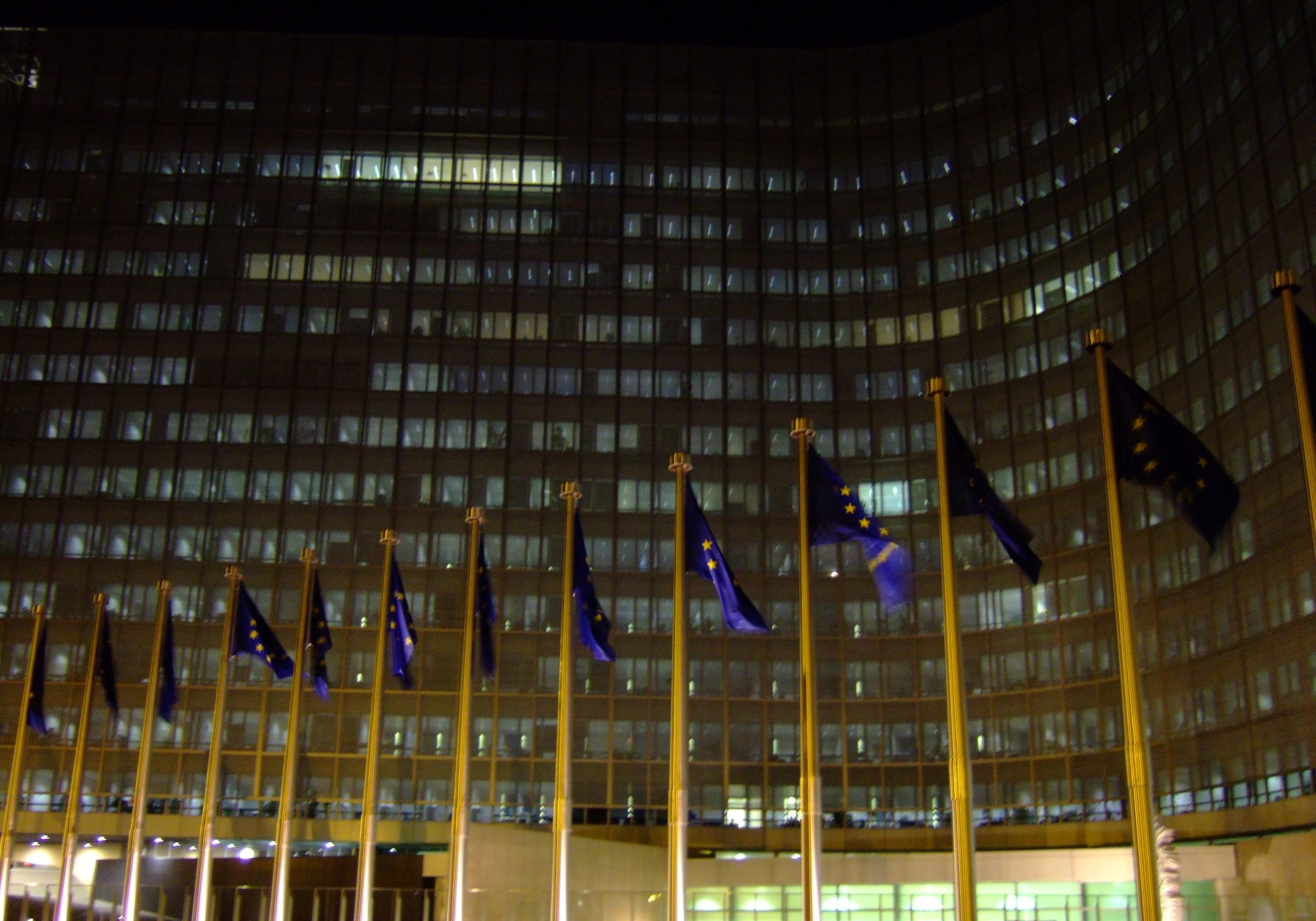 Elections européennes : grandes manoeuvres, petites pratiques