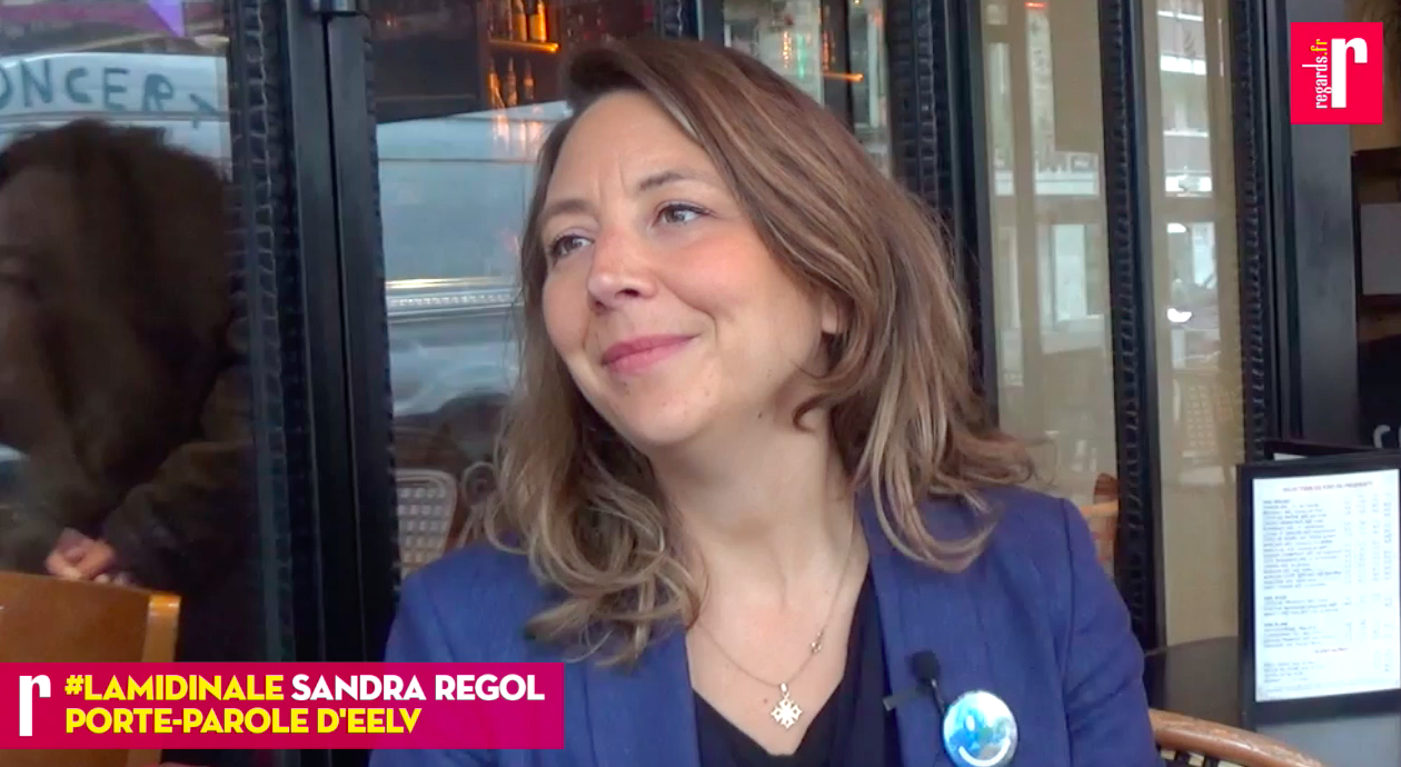 « Le discours anticapitaliste n’est plus transgressif : l’écologie doit être l’avenir de la gauche »