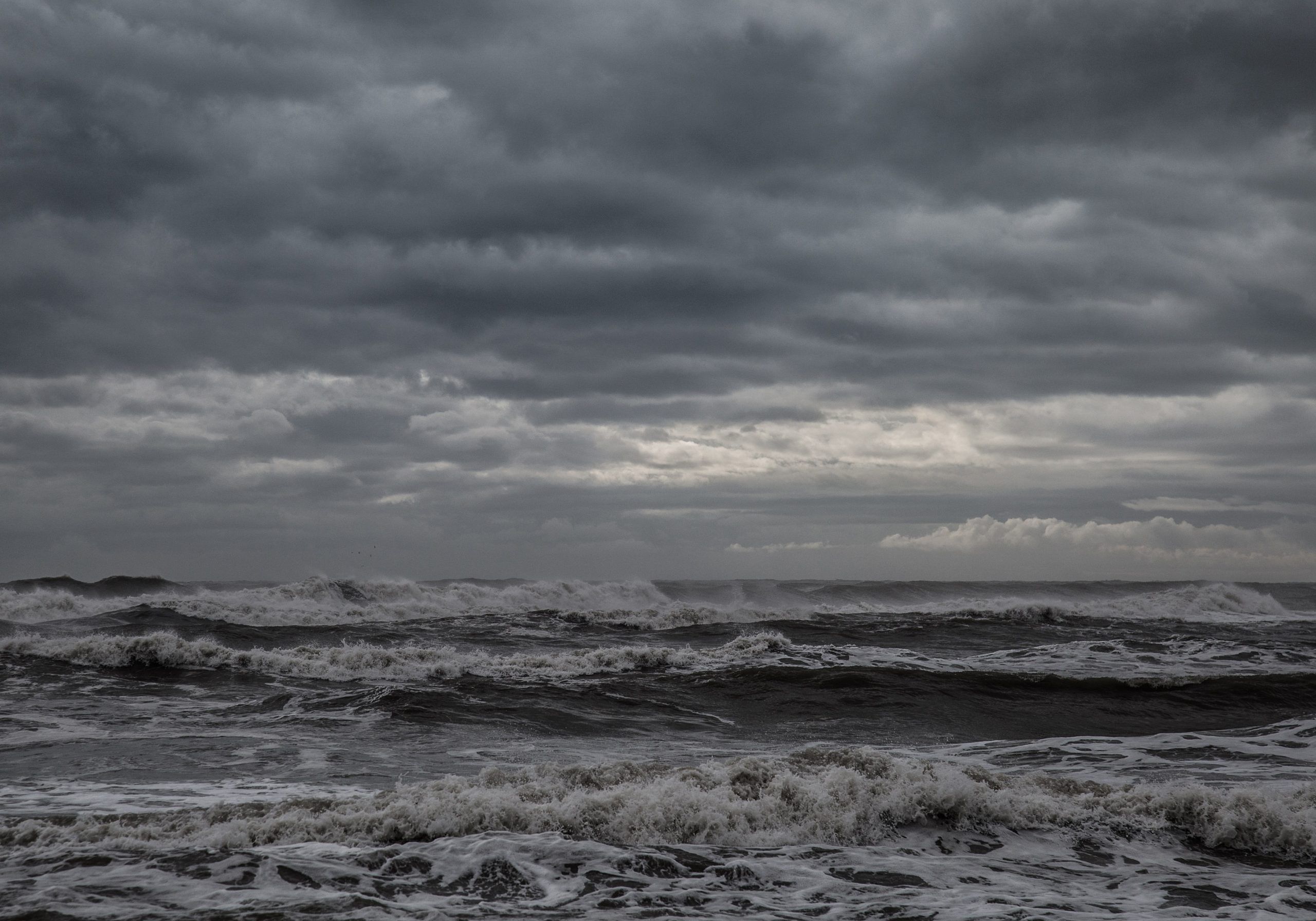 ÉDITO. Laisser crever la moitié de l’humanité