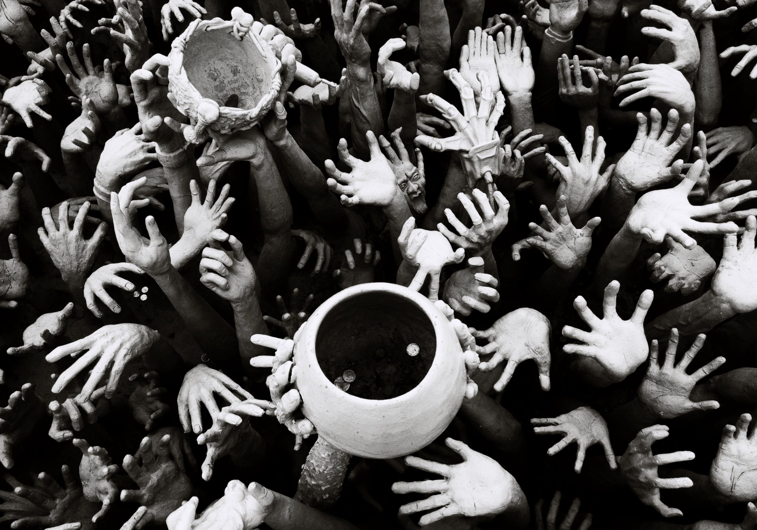 TRIBUNE. Coronavirus : le capitalisme est exsangue, vive l’écoféminisme !