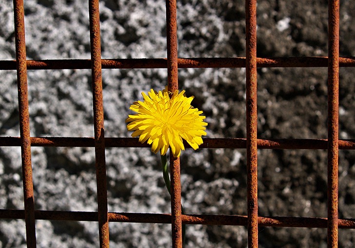 Dépassés, faisons table rase