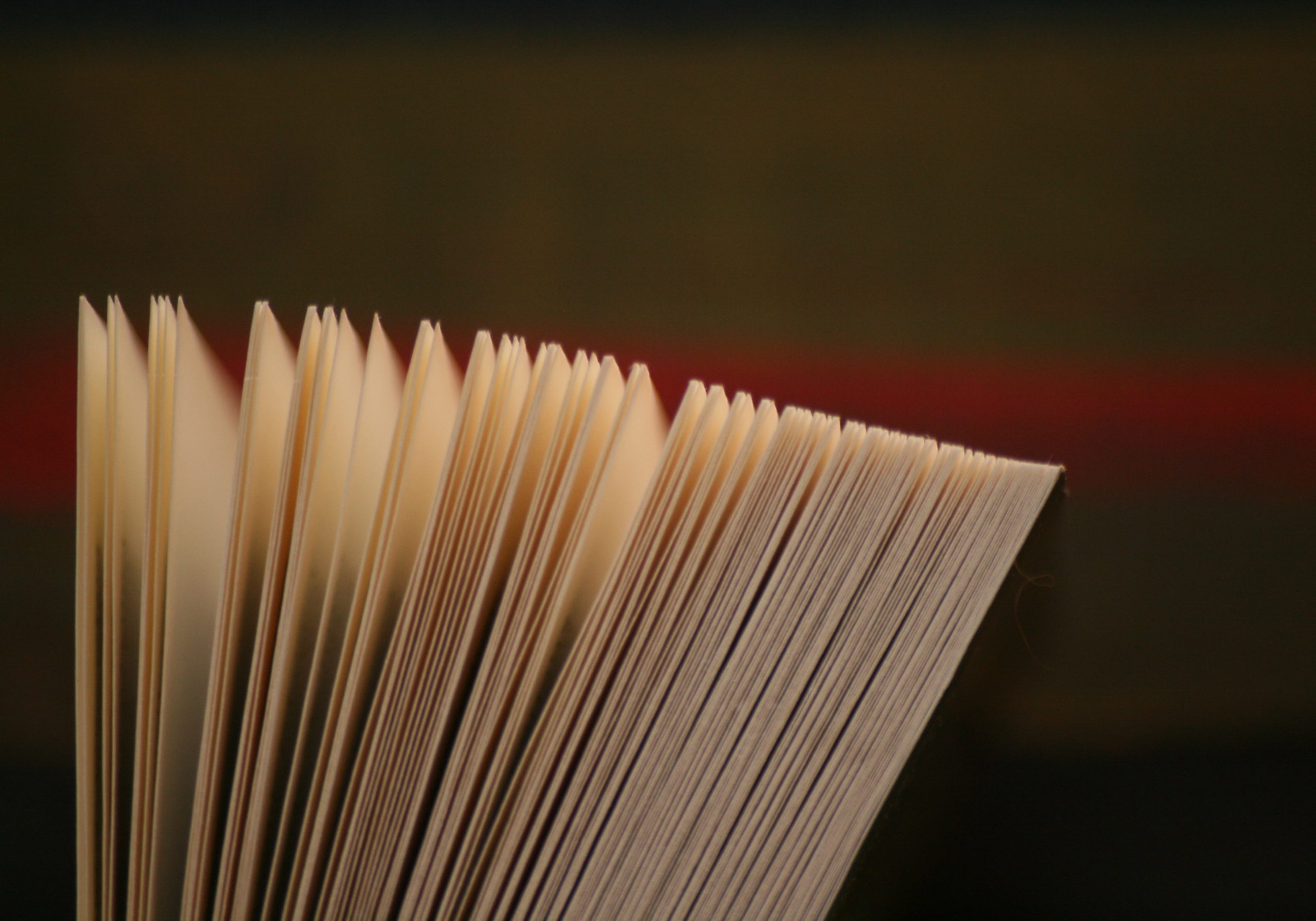 Pour le monde de la culture, je tire la sonnette d’alarme !