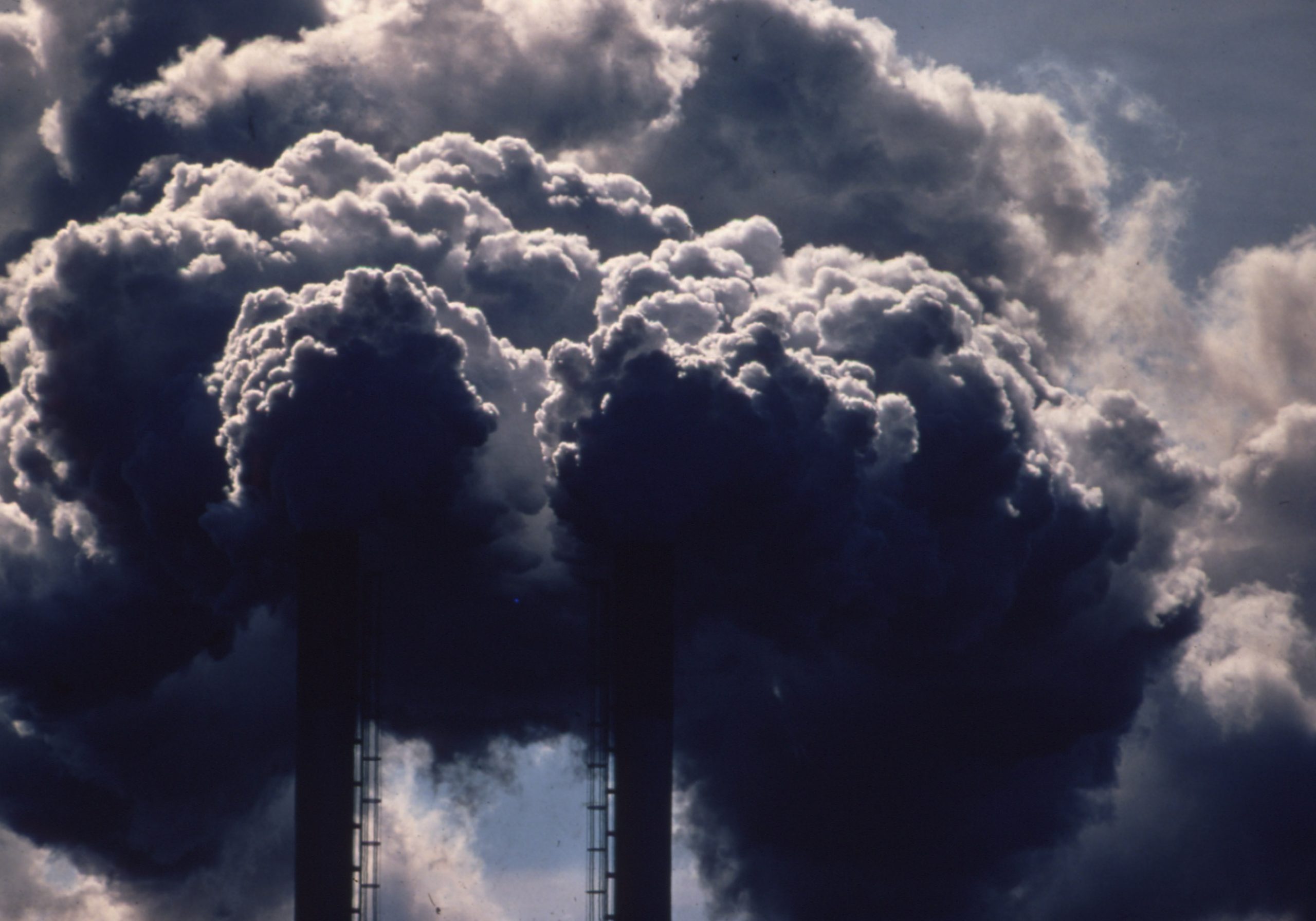 TRIBUNE. Notre maison brûle, et nous ne regarderons plus ailleurs