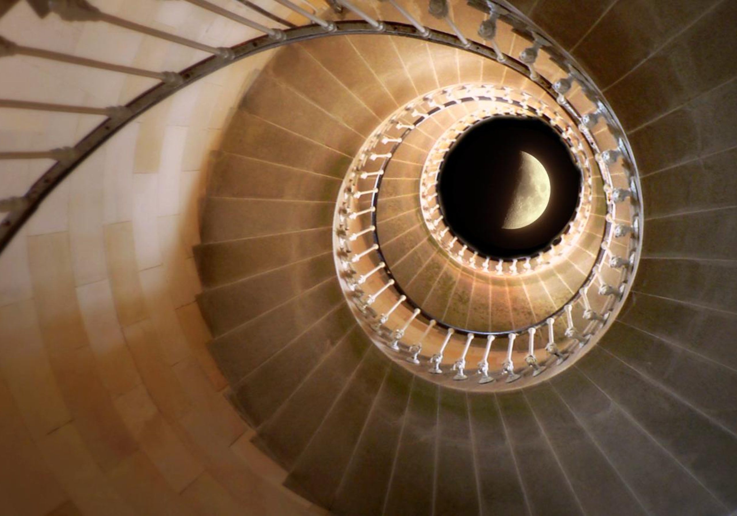 TRIBUNE. Appel aux forces de gauche et écologistes à ne pas se résigner au pire, mais à rêver !