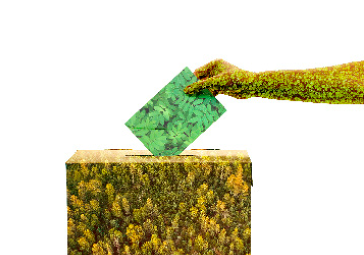 « Dictature verte » ou démocratie écologique ?