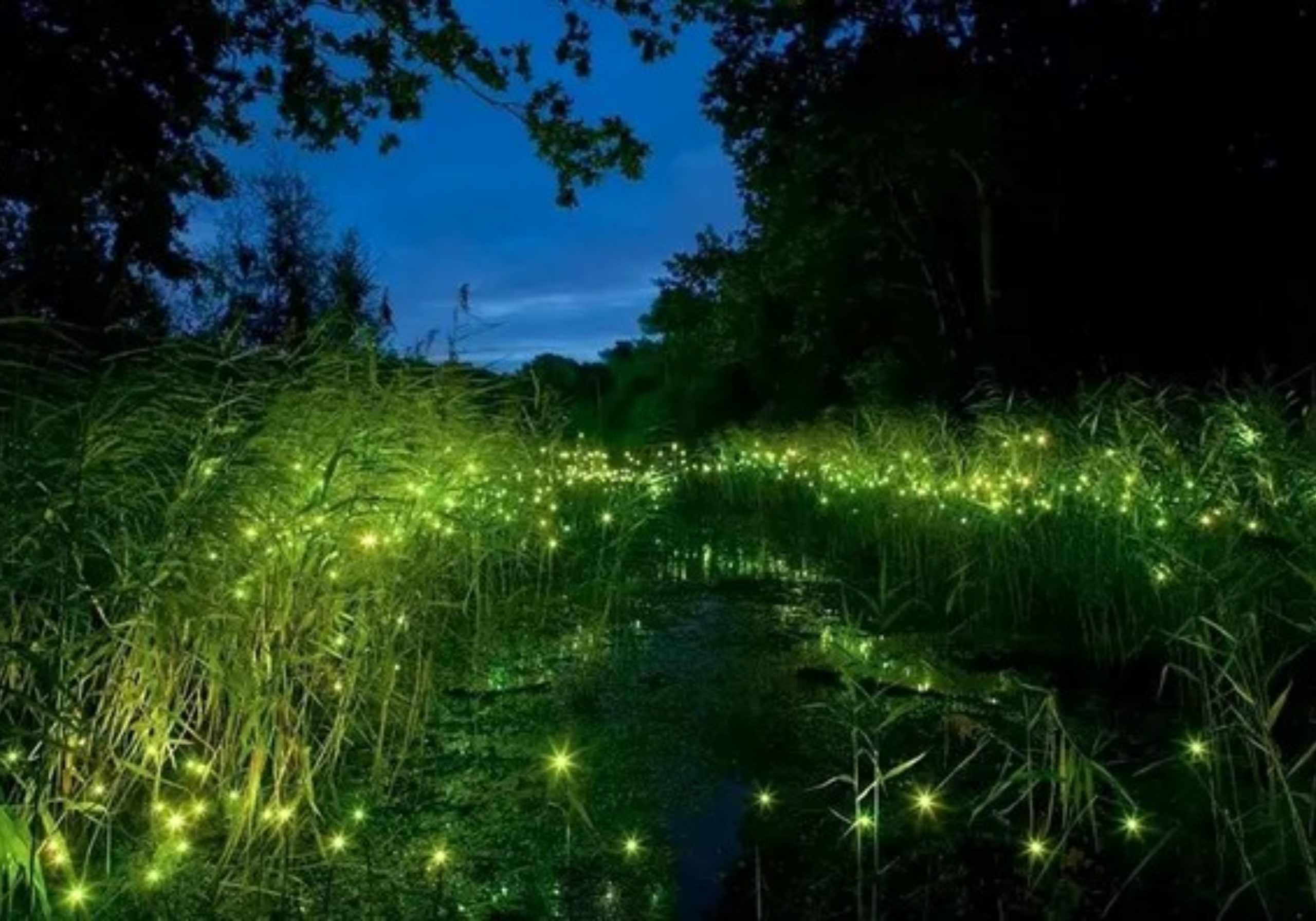 Cette année 2021 s’ouvre dans un brouillard inouï