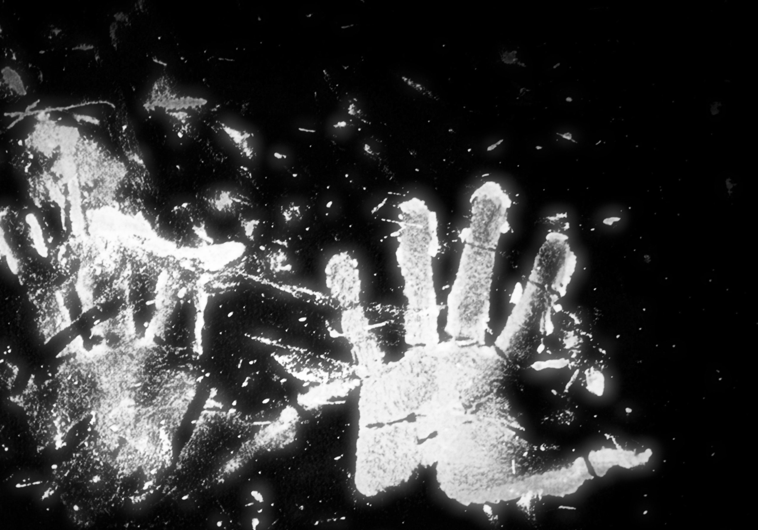 À propos de Beaud et Noiriel : l’enfermement identitaire n’est pas le lot de quelques-uns