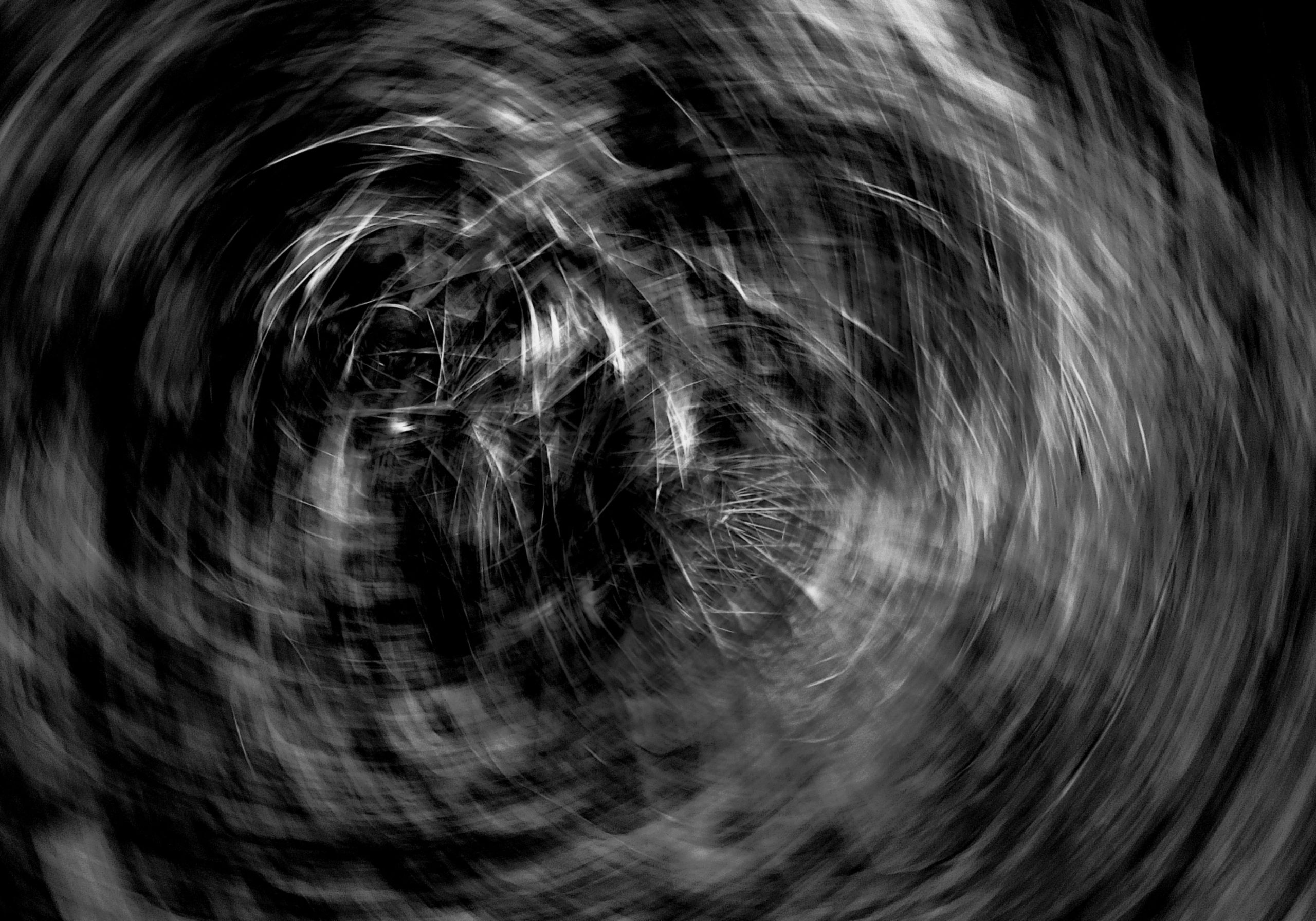 TRIBUNE. À propos des « pièges de l’identitarisme »