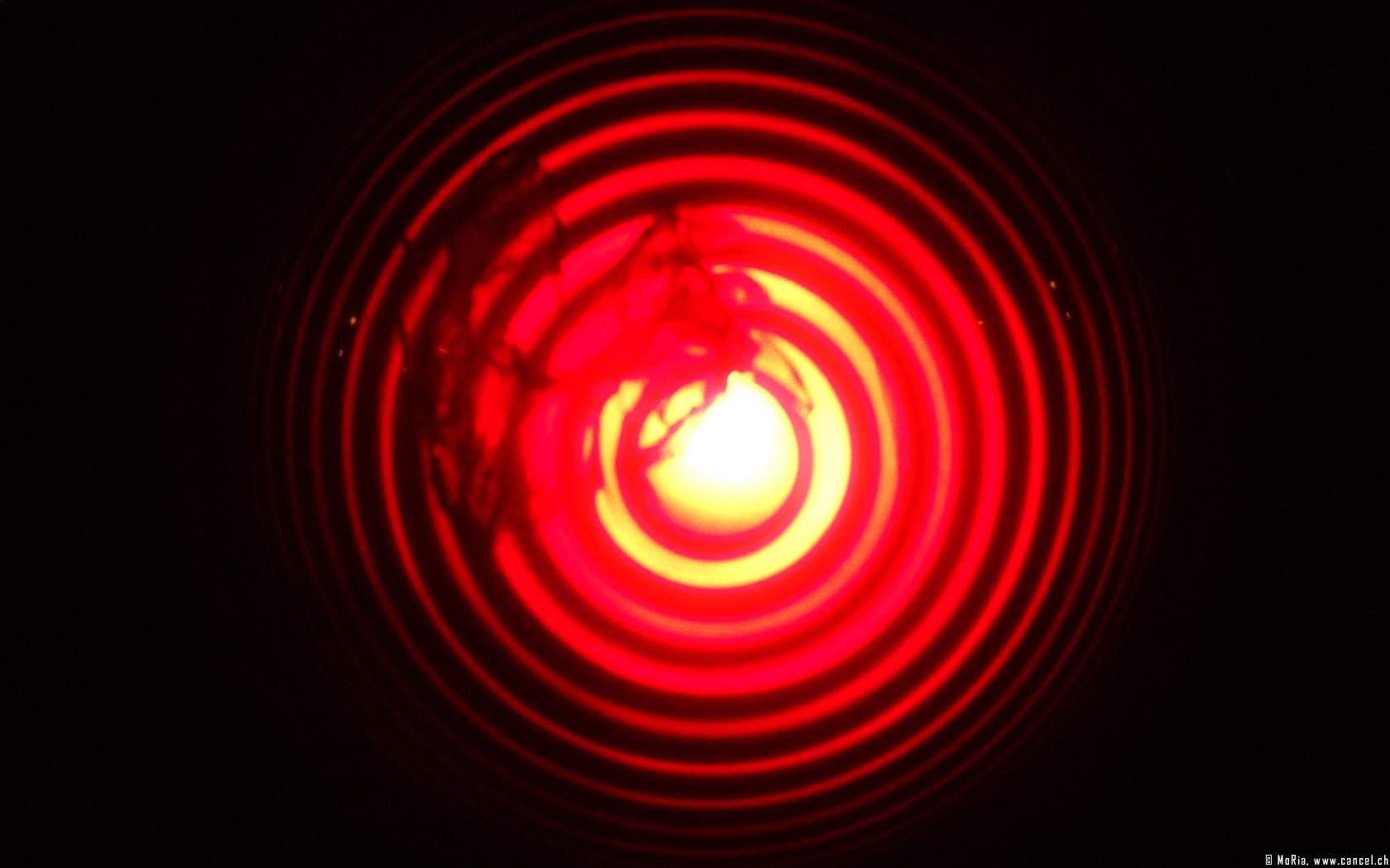 TRIBUNE. Appel aux candidats à l&rsquo;élection présidentielle à s’emparer de la crise mondiale des droits de l&rsquo;Homme