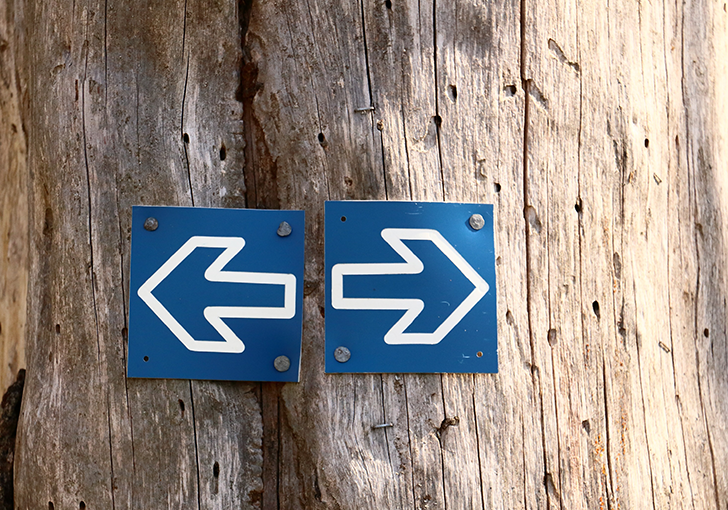 La République à toutes les sauces