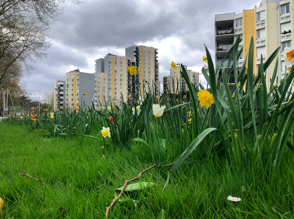 Reportage à Bobigny : « Dimanche, on choisira le meilleur des menteurs ! »