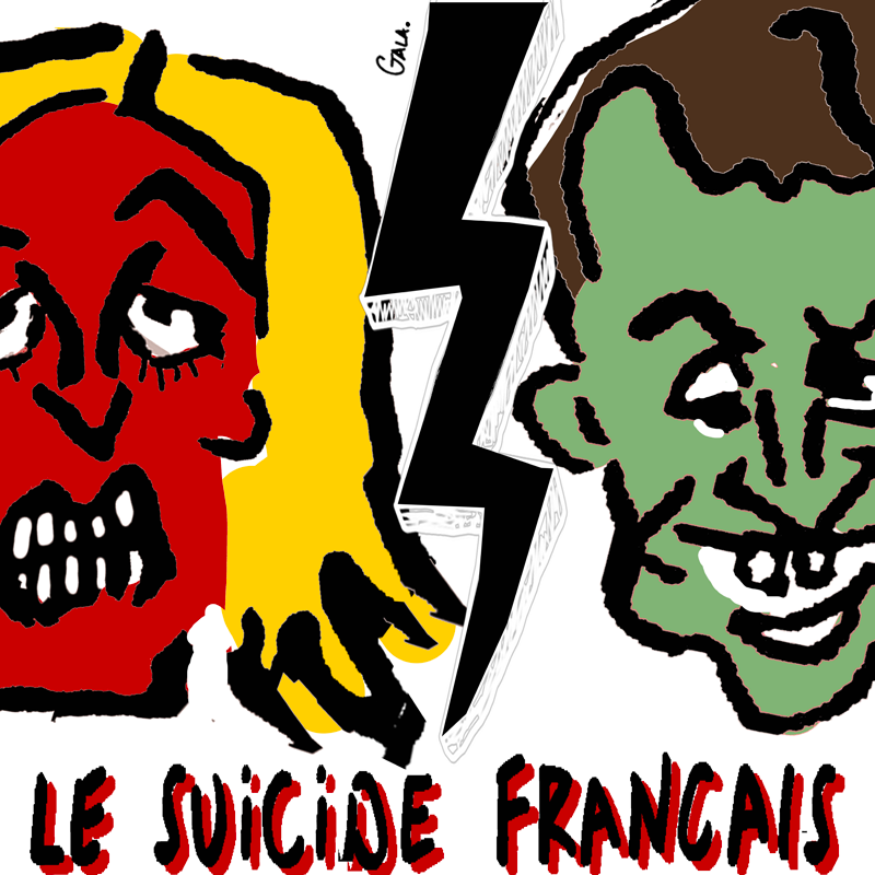 Le suicide français