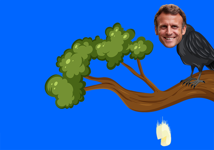 Le bon sens et la raison : la fable de la Macronie
