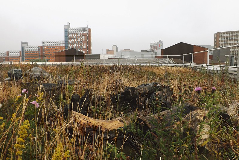 TRIBUNE. COP15 : le vivant disparaît et la France ne réagit pas assez