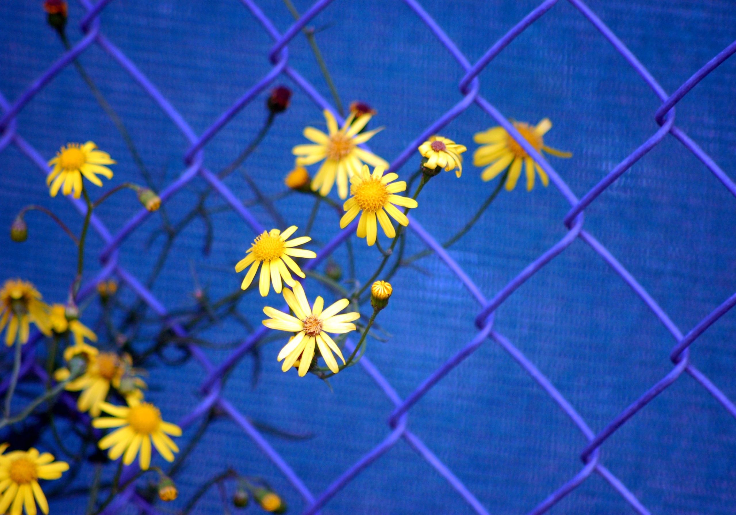 Comment soutenir l&rsquo;Ukraine ?